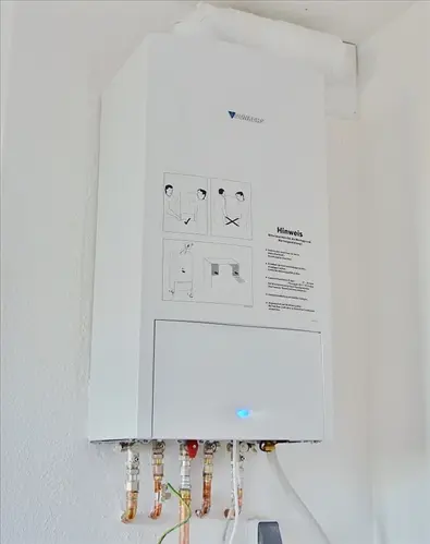 Tankless-Water-Heater-Installation--in-Acton-California-Tankless-Water-Heater-Installation-2244660-image